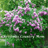 christmascountrymom.com