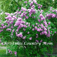 christmascountrymom.com