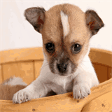 churchatthenorva.com