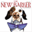 thenewbarker.wordpress.com