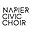 napierchoir.org.nz