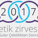 etikzirvesi.com