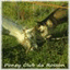 poney-club-du-rosson.over-blog.fr