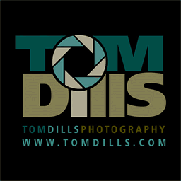 tomdills.com