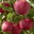 fionasrecipes.wordpress.com