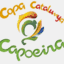 copacatalunyacapoeira.com