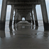 minitrucksforsale.com