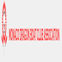 monacodragonboating.com