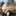 classicyugo.com