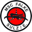 msc-falke-sulz.de