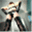 theentangledwebofmistresschase.com