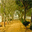 onenessuniversity.org