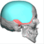 skullreshaping.com