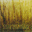 oldworlds.bandcamp.com