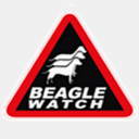 beaglewatch.co.za