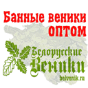 belvenik.ru