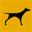 dog-ibox.com