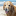 grcglarescuehope.blogspot.com