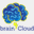 portal.braincloudservers.com