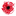 iampoppy.com