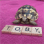 tobythetortoise.com