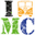 maxxcamp.de