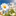 bloommind.com