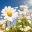 bloommind.com