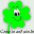 casingo.net