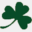 paddycoughlinspub.com