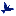 kniahyni.org