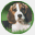 fieldhouseboardingkennels.co.uk
