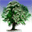 1bigtree.com