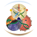 dottnumerology.com