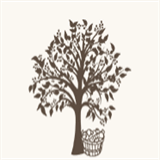 countylineorchardweddings.com