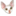 rexdevon.lokimiao.com