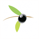 olivierjacquet.net
