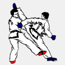 taekwondoteamsergi.com