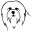 coton-de-tulear.dk