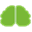 cognofit.de