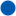 ditronetwork.com