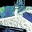 infinitytrees.org