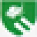 contradasandomenico.it