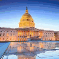 hayleyanneredding.com