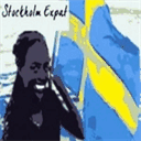 stockholmexpat.com