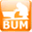 bumgloves.com