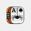 247spidersolitaire.com