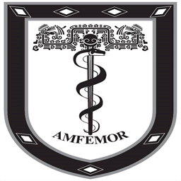 amfemor.org