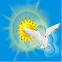 appartement-buchen-ruegen.de