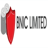 bniclimited.com